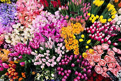 Devolver Digital发布会10日举行 轰击玩家的心智